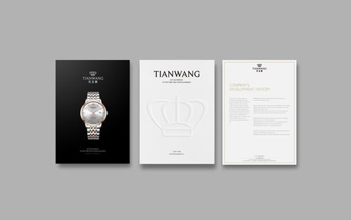 手表包裝與VI設計 彰顯品牌魅力的藝術(shù)